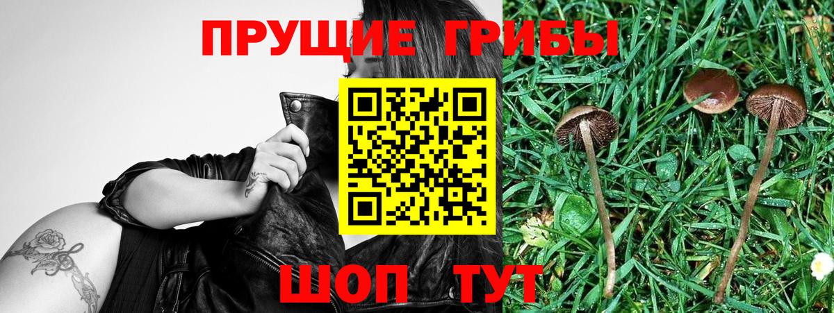Галлюциногенные грибы мицелий Балашиха